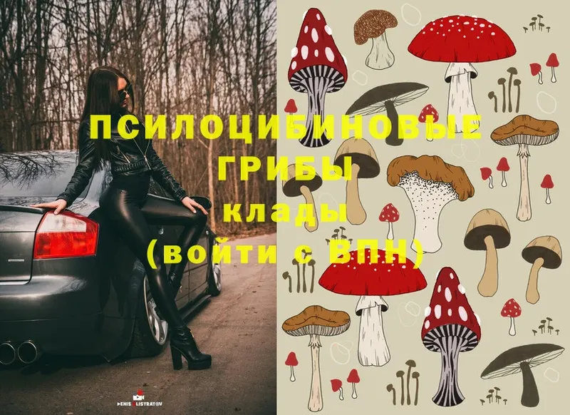 Галлюциногенные грибы MAGIC MUSHROOMS  Дивногорск 